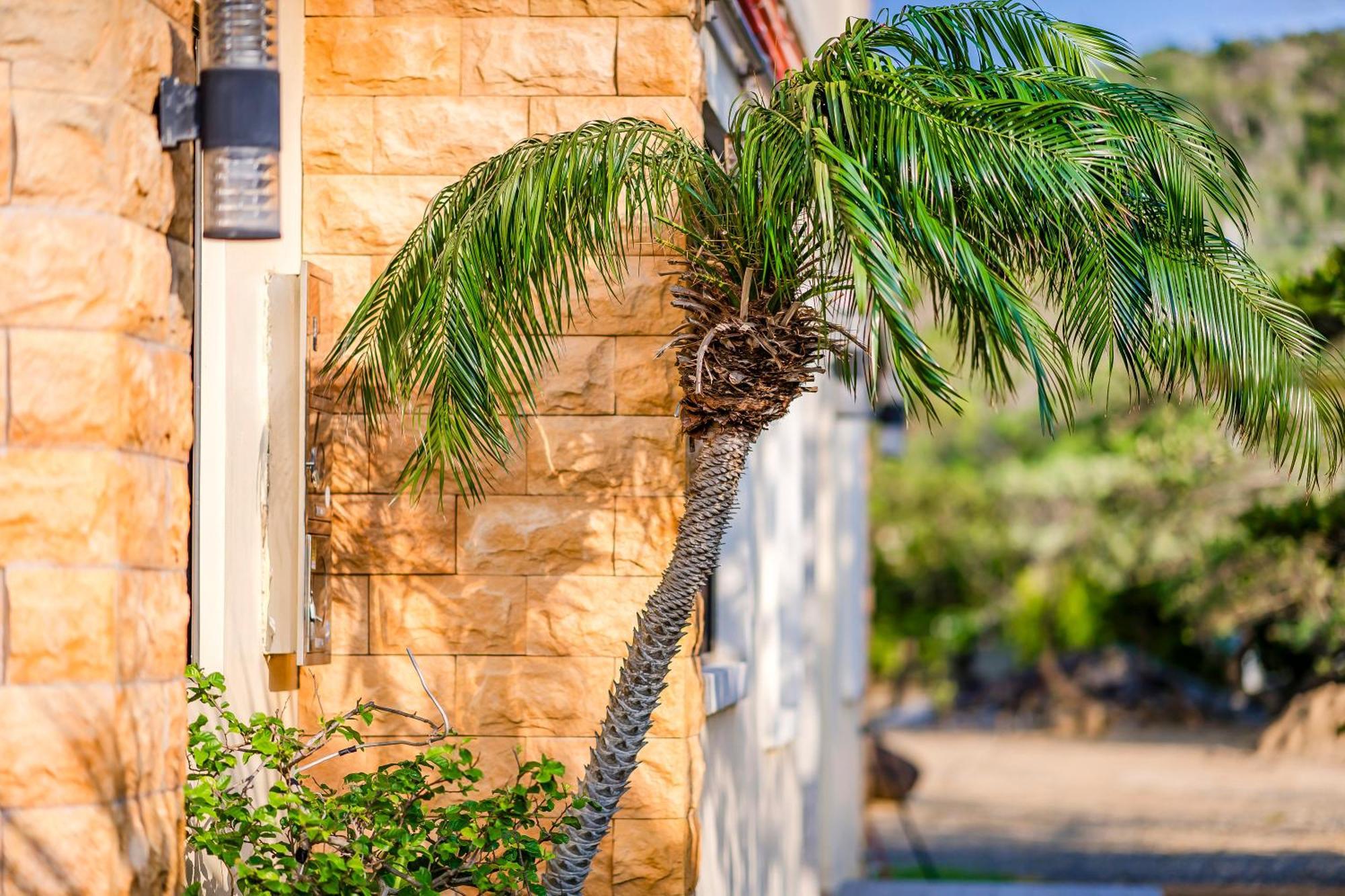 Southern Sun Homestay North Kenting Eksteriør bilde